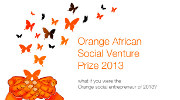 Orange Prize 2013