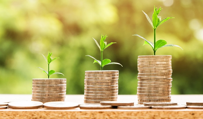 Innovation Management for Sustainable Growth: the case of Koza Yönetim, the IMP³rove Award winner of 2014