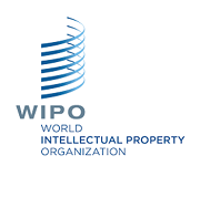 The Intellectual Property in the Innovation System