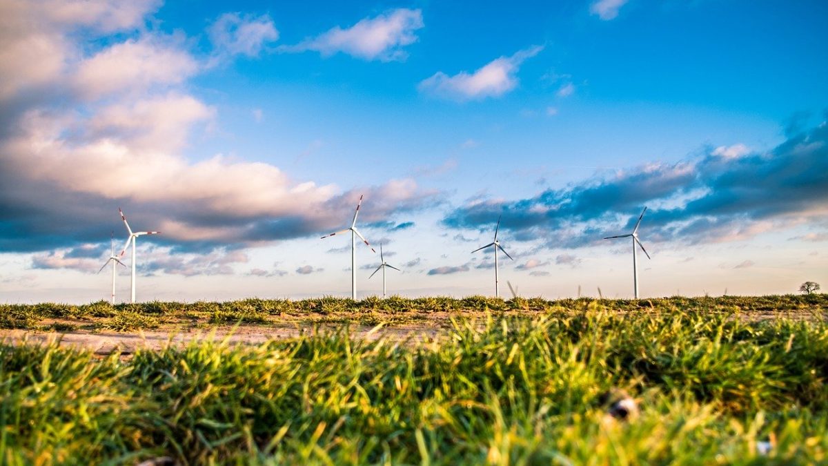 Patenting procedures relating to Green technologies