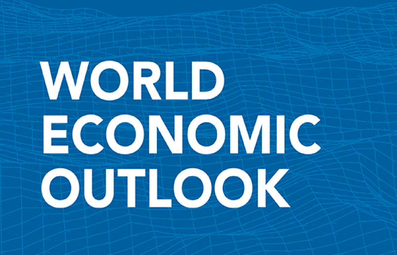 Publication of the 2021 World Economic Outlook by the IMF