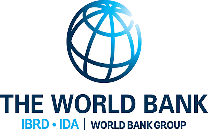 The World Bank “Long-Term Growth in Developing Countries”