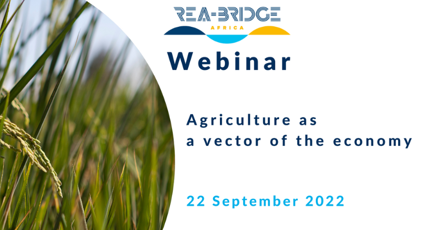 Which Agricultural Entrepreneurs for Sustainable Food Autonomy in Africa ?