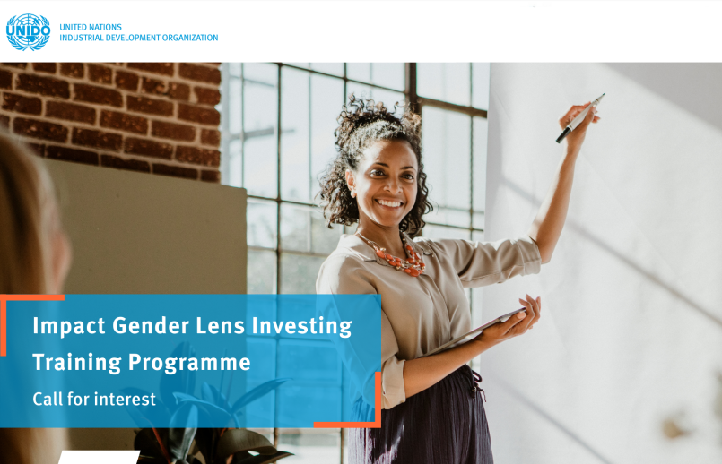 UNIDO Launches the “Impact Gender Lens Investing” Training Programme