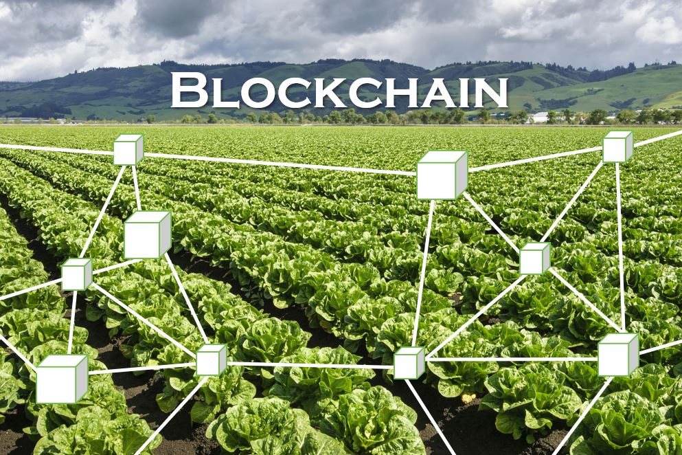 TRUSTFOOD Project Launch