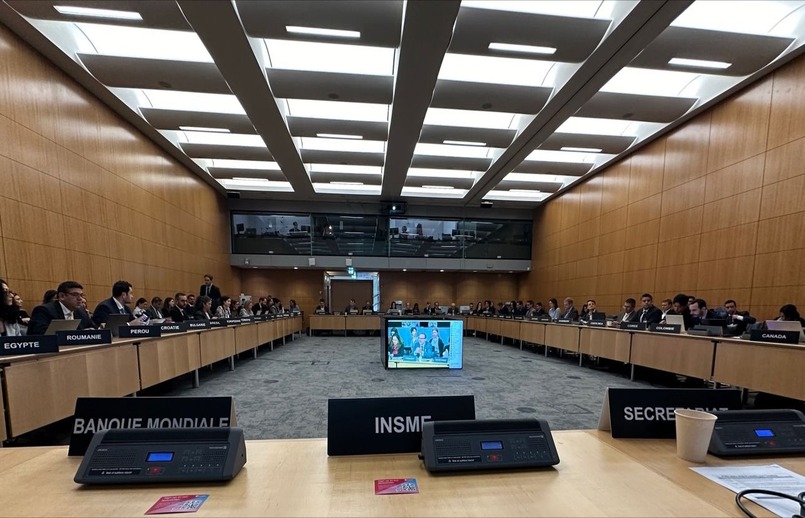 INSME at the OECD Committee on SMEs