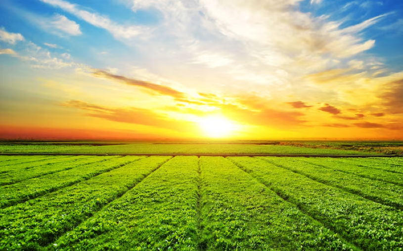 Boost Your Digital Skills with TRUSTFOOD